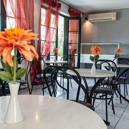 博兹琪斯皇宫酒店 酒店 Agios Sostis (Zakynthos)