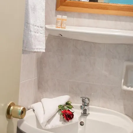 Bozikis Palace מלון 2*